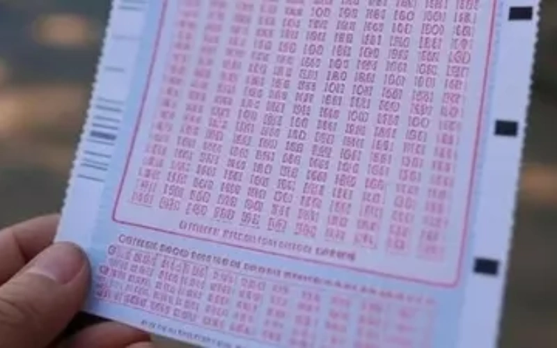 Bodoland Lottery Result at Big Daddy Game Casino body image